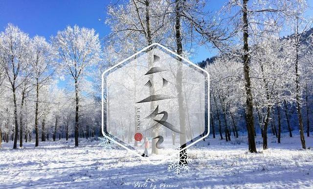 “上午立冬大雪封门	，下午立冬单衣过冬”，今年立冬是什么时候？