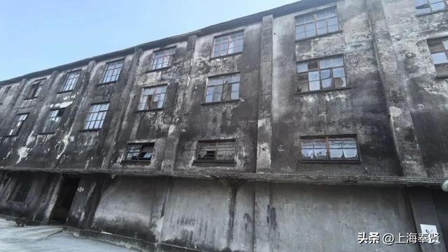 “乡”遇奉贤·四团镇篇丨“品酒+露营”快来解锁近郊旅游新玩法