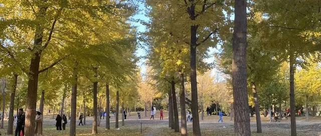 全部免费！兰州周末5个遛娃吸氧宝藏地！还能邂逅候鸟！