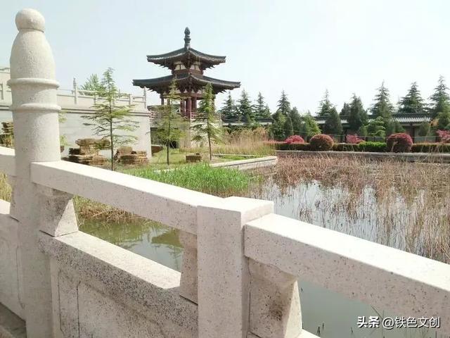 铁兵游记 | 枣庄铁道游击队纪念园和微山湖