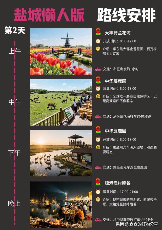 盐城3日漫游指南