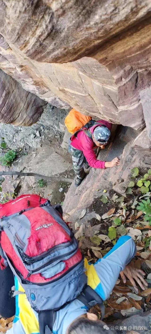 爬草双（外一首）｜ 罗锋