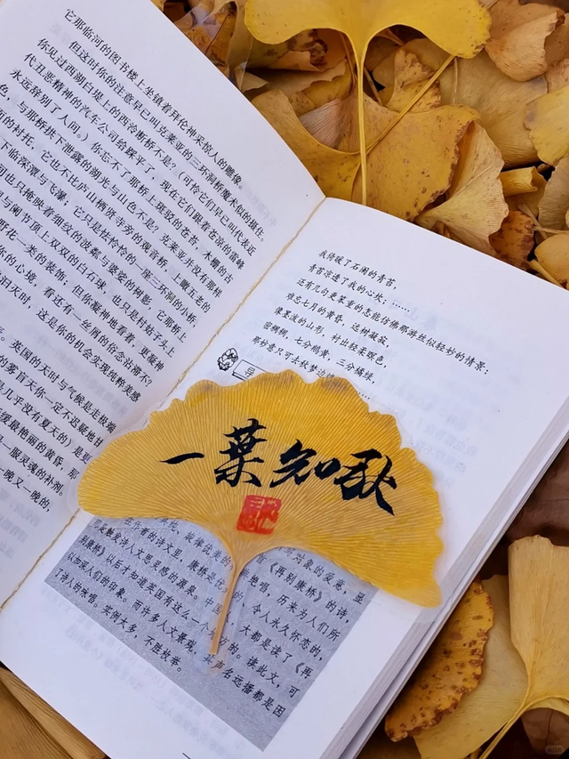 定格“秋韵”，限定美好！在临山，有一种专属浪漫叫“落叶缓扫”
