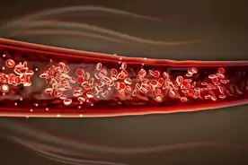 每天坚持一个小动作，竟可打通身体经络，通血管、强肝肾、健腰腿图片