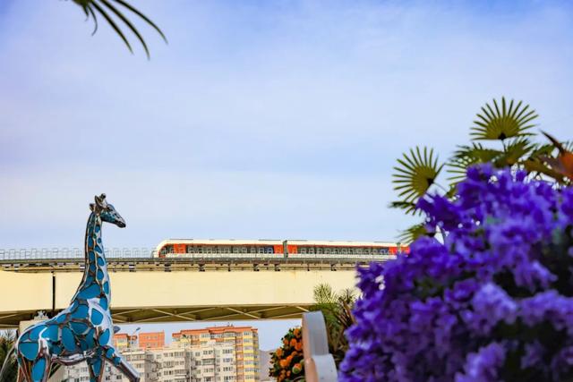 看完苏翊鸣的比赛,记得来这儿暖和暖和——