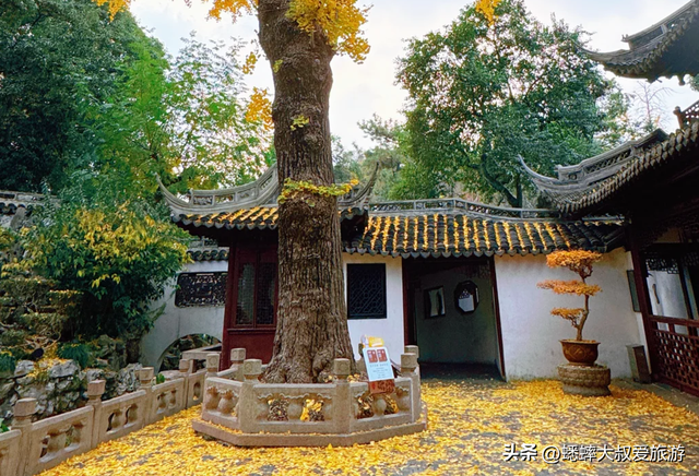 上海元旦三天小长假如何逛？悠闲打卡行程来了，省时省力省心！