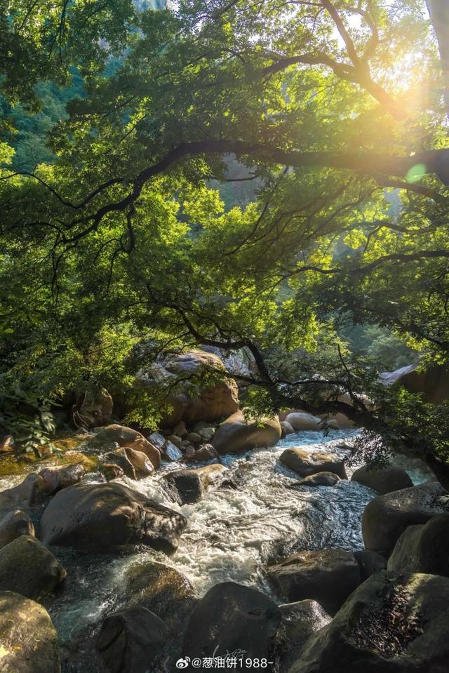 青岛夏日清凉指南：从海风到啤酒的消暑“凉方”