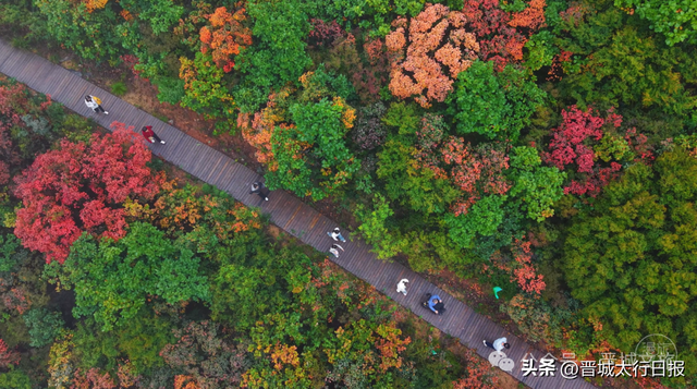 刷屏了！晋城“新顶流”！