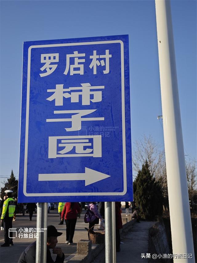 今冬顶流！陕西这片柿子林爆火出圈，美到封神！攻略来啦