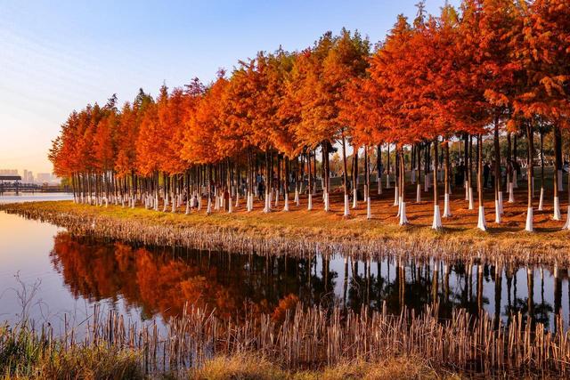 12月适合去的7个旅行地，美景交织，色彩鲜艳的明媚冬日