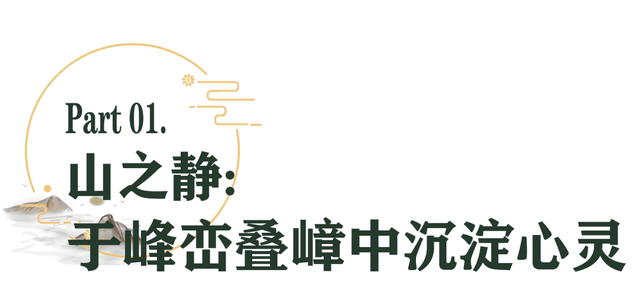 全域好水 亲水纳凉 | 在武夷山，与所有疲惫温柔和解