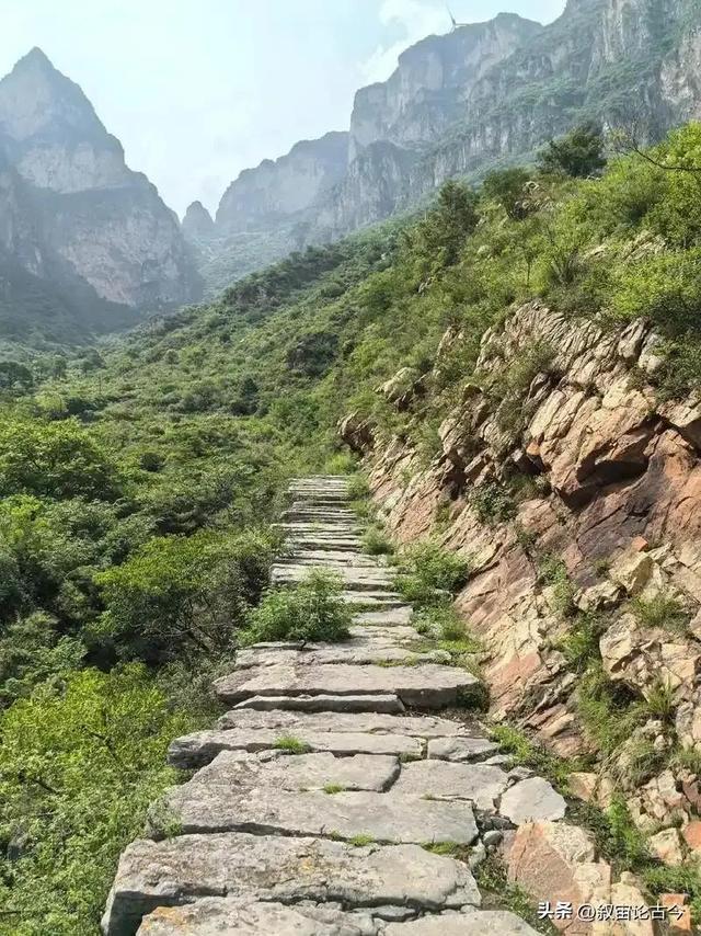 36人牵骆驼硬闯洛阳！被疑作秀？背后真相让国人泪崩