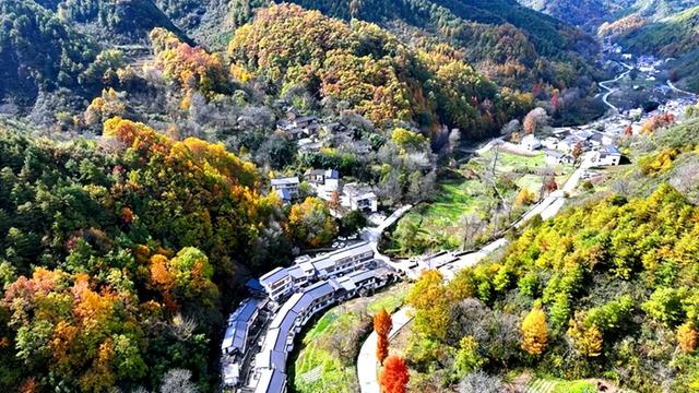 【行业动态】陇南秘境：秋末冬初的山水诗行