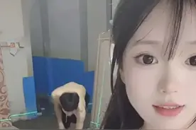 河南女子陪老公在工地贴砖，凭可爱长相爆红，男子：不怕被人撬走图片