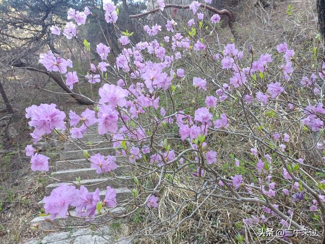 无为在歧路，2025之经行