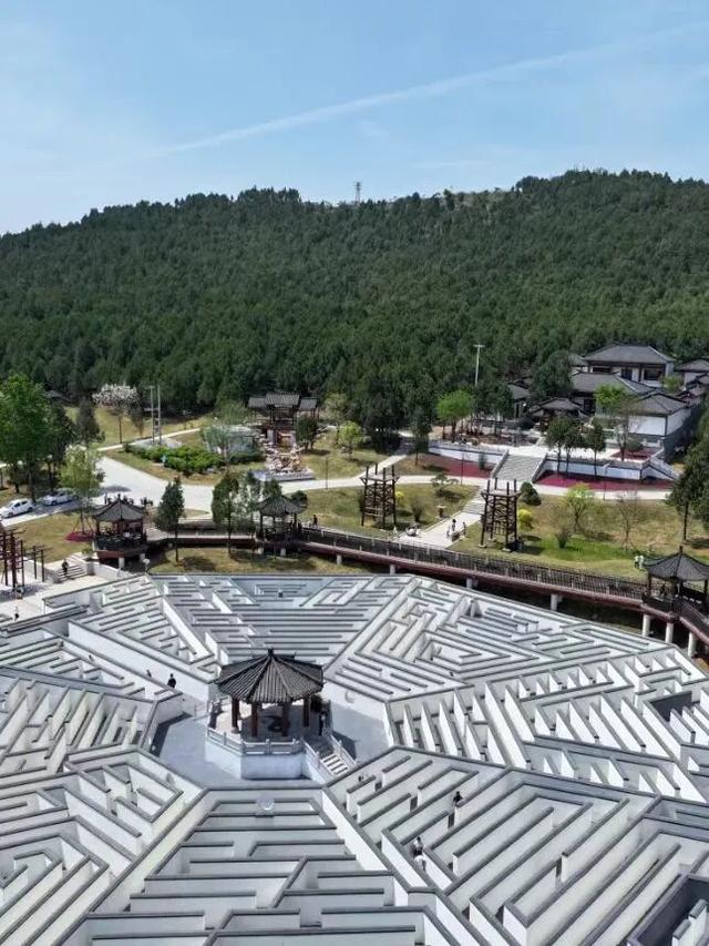 跟着《生万物》《我们的河山》吃遍临沂！解锁 “沂蒙文脉・舌尖奇遇之旅”