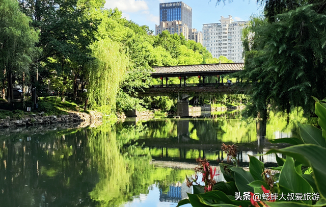 杭州宝藏街区太有底蕴了，拥有深宅大院与古寺，适合秋日探古徒步