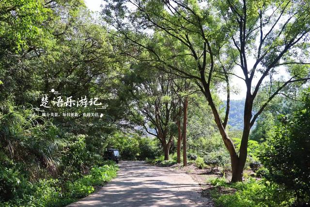 浙江宁波的半岛型山体风景，有遗址也有风车公路，被誉为拍照胜地