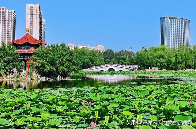 老公园逆袭+新地标登场，呼和浩特打卡地上新！