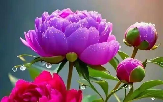 情感：女人过中年，最渴望的“肉麻”行为竟然是这些！