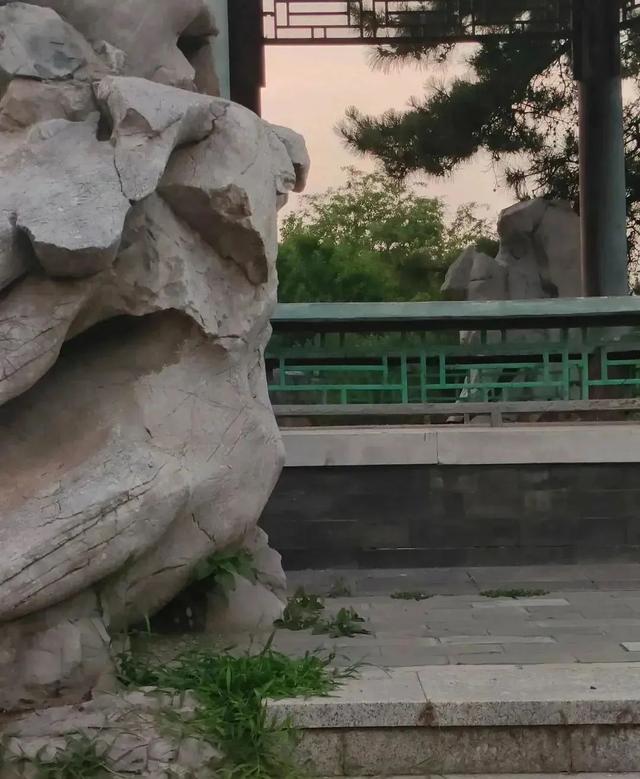 解锁宝藏标地、花植印章和惊喜福利！来花乡，开启秋日的City Walk——