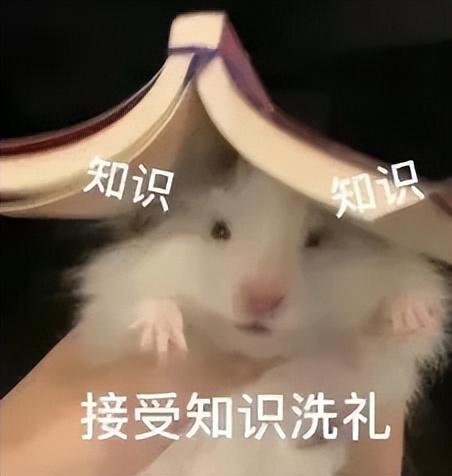 “两个春节”，冲上热搜！网友热议：会不会放两次假