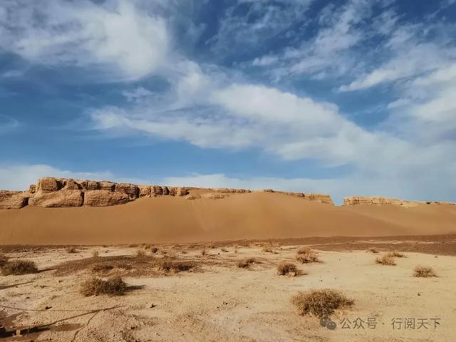 额济纳，额济纳，秋天必须要去额济纳，与金色胡杨林相遇