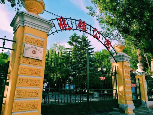 寻觅清凉绿意，哈尔滨文旅邀你开启一场“森”呼吸之旅！