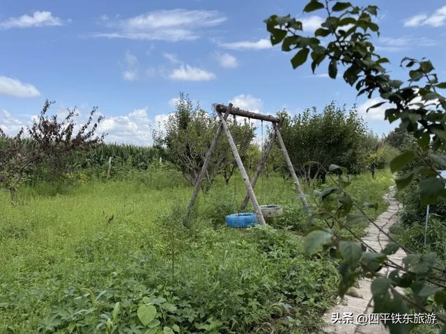 乡土印象：藏在炊烟里的民宿故事