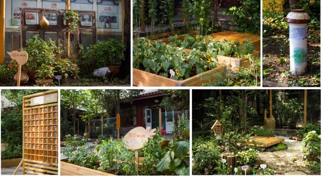 看东城，一路繁花，四季幻彩！