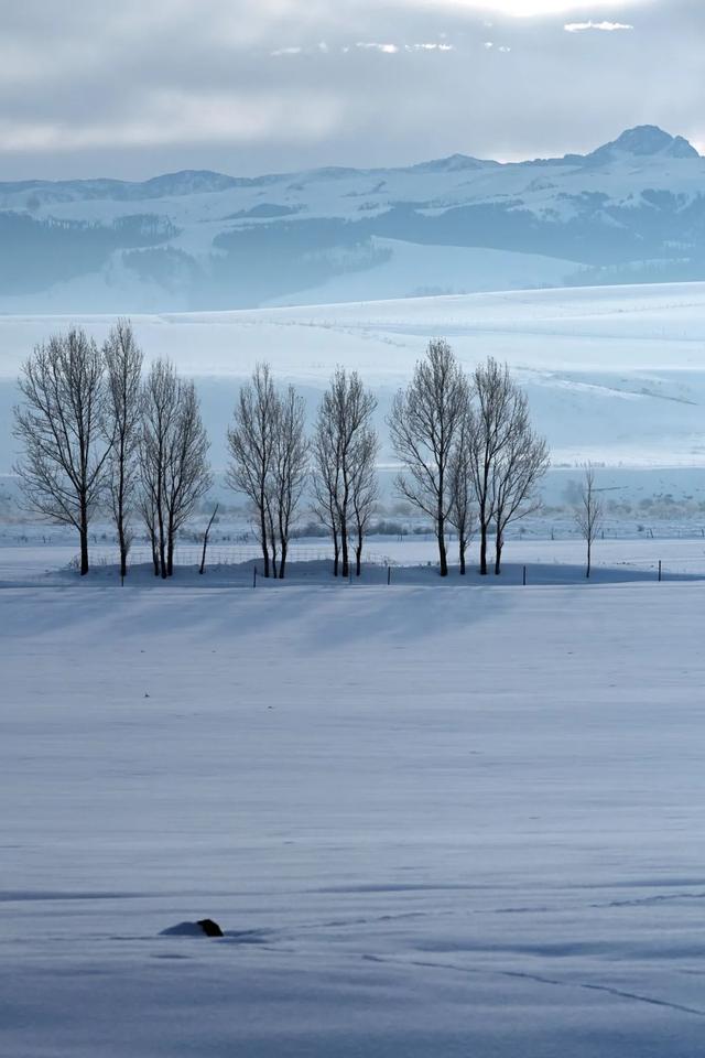 如要选一个冬季最佳拍雪景的地方,首选一定是它