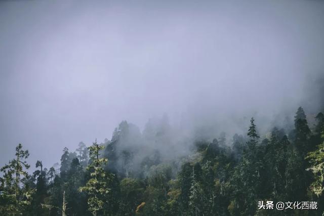 终于被我找到了！这个20℃的西藏避暑小城，确实无敌宝藏啊！