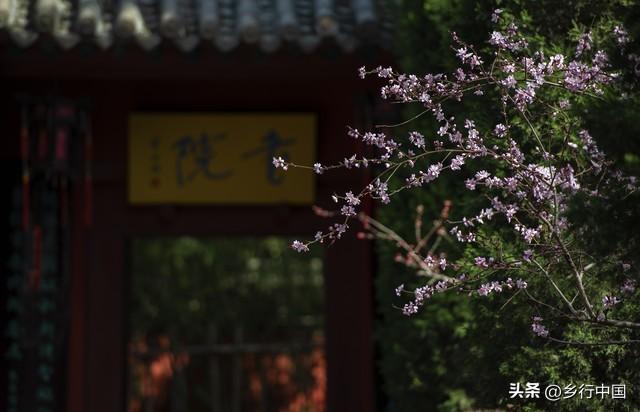 南部县寺外桃源景区：景村-乡镇-片区联动助力南西盐三县文旅发展