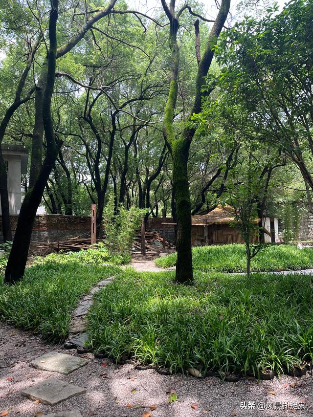南昌文泉禅寺，让人静心的好去处！