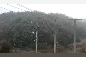 温州，下雪了！图片
