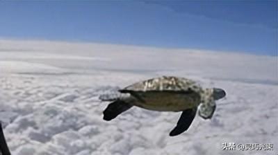 Win10做6项优化，不仅电脑变流畅，再用两三年都不是问题