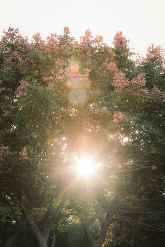 冬日暖阳里，来丰泽这儿享受惬意时光……