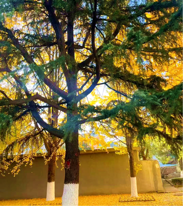 这3.7公里，是公安写给秋日的诗…