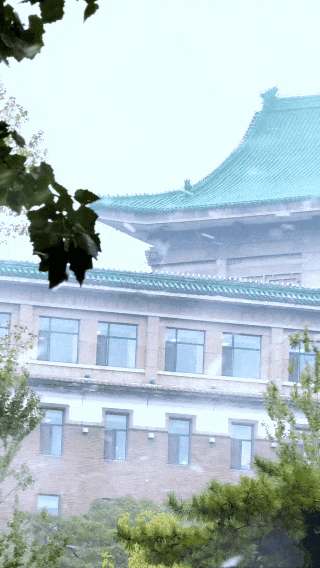初雪邂逅老街，长春新民大街的冬日叙事即将开始