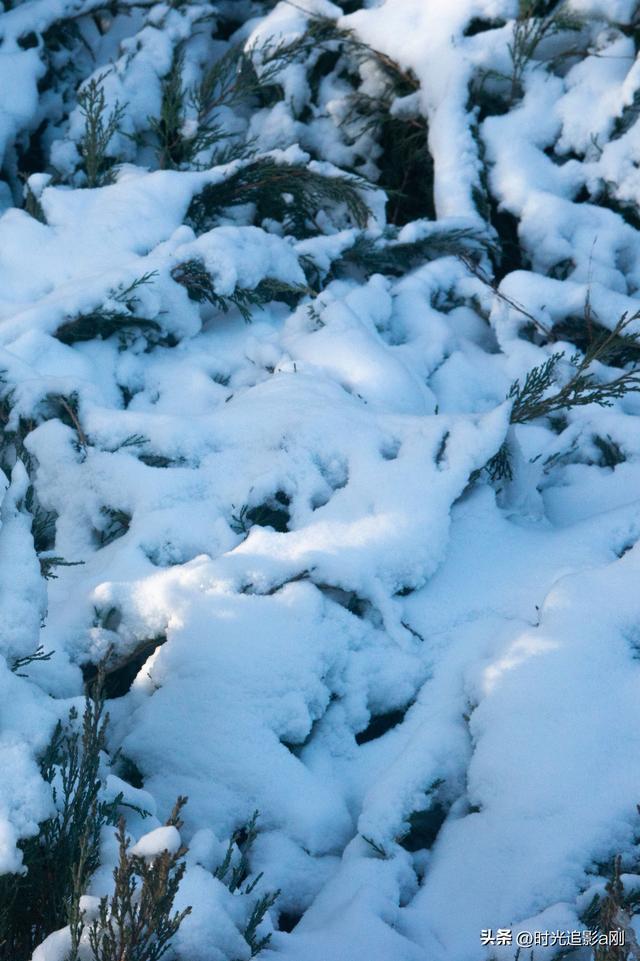 晨晓微曦的雪棱光