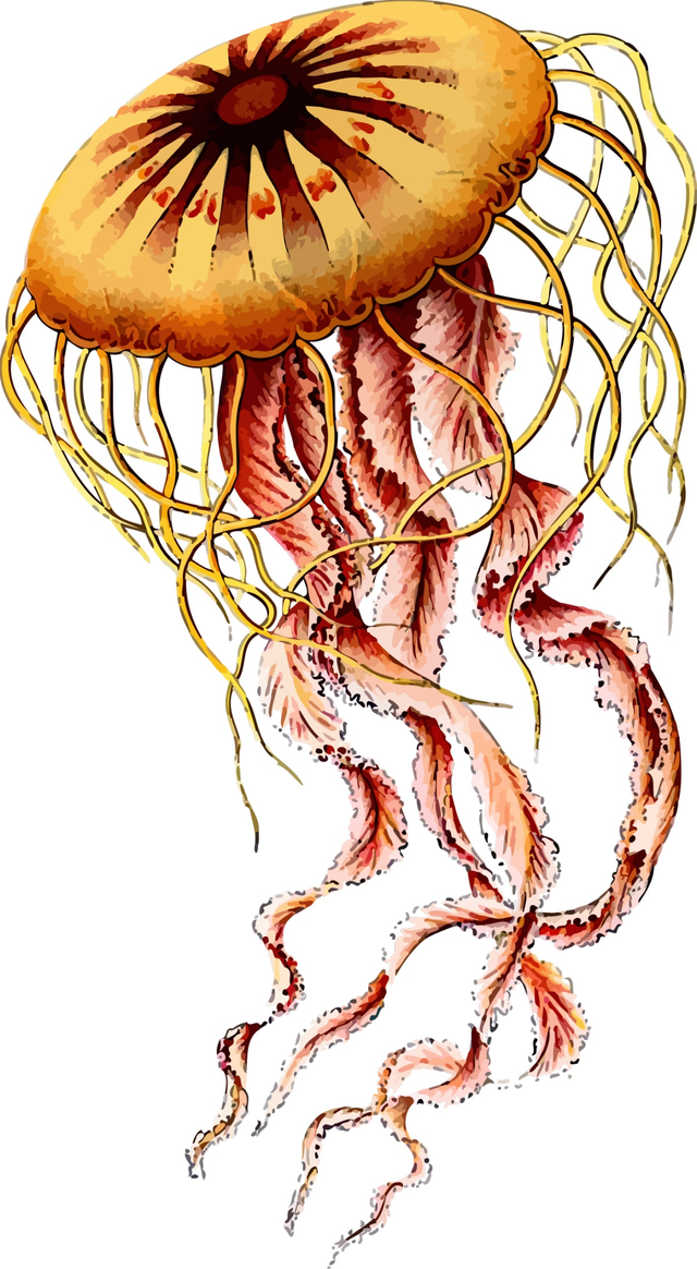阿里88与哪吒3的故事：乘法表超快巧学大秘诀魔法花园（1）