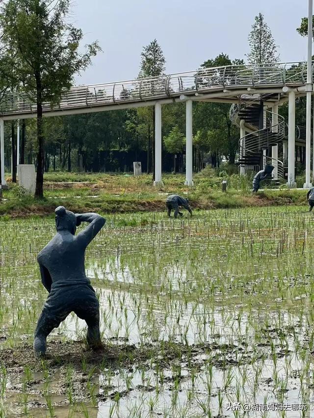 40℃高温？带娃躲进这两处深山秘境，把25℃的清凉和野趣全打包！
