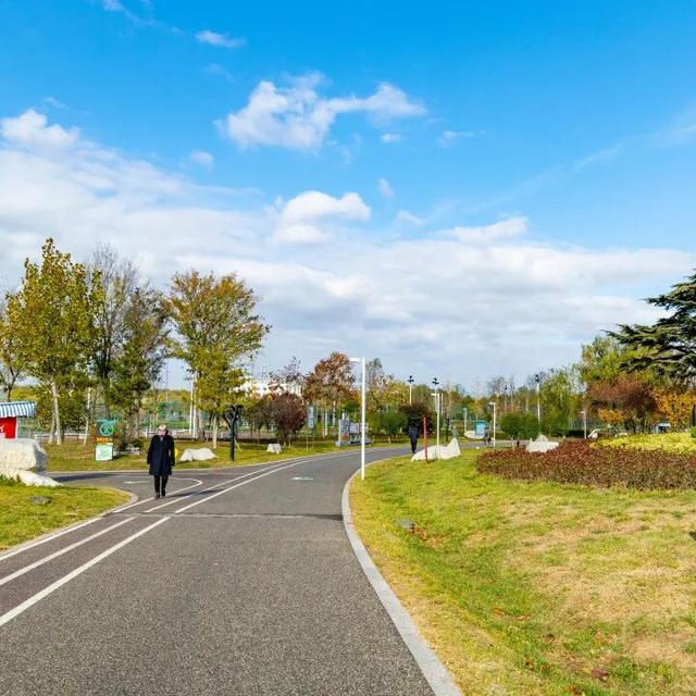 藏在乳山各处的温柔｜这些公园，让心情慢下来