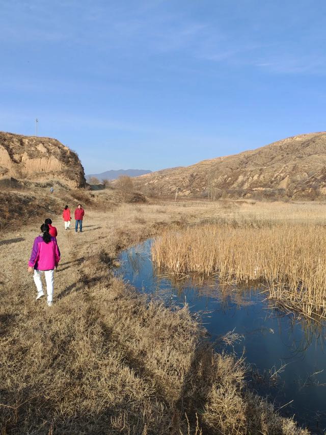 宣化瓦窑头水库芦苇成片,水天一色值得观看