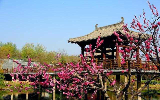 河北旅游推荐：魏县。梨乡水城的千年风雅，舌尖上的京津冀后花园