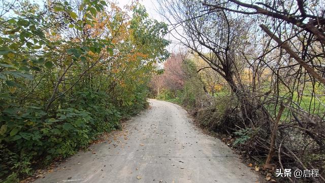 我们从塬上走过