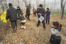 清明节能带孩子去扫墓吗？尽量超过这个年龄，越大越该去图片
