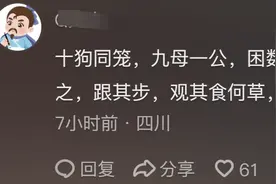 原来狗子都自带中医系统啊！网友分享看傻眼，狗主人骚操作真逆天图片