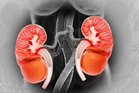 尿毒症是“拖出来”的？提醒：身上2处发臭，可能是肾脏在呼救图片