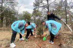 石棉县新棉小学开展植树节系列活动图片